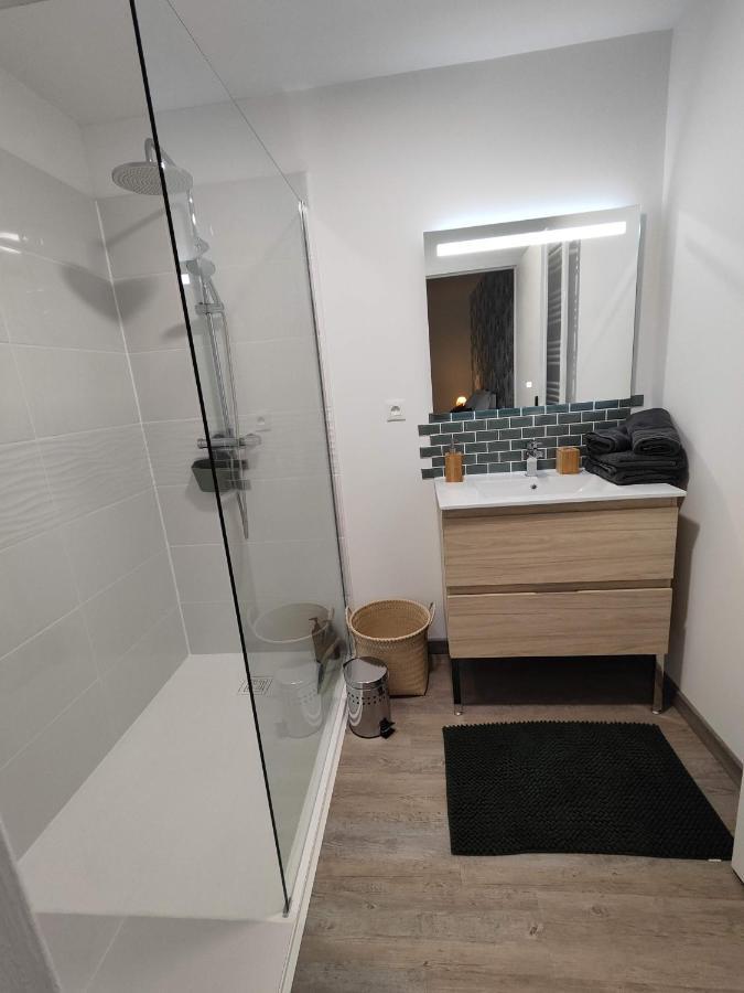 O Loft - 3 Chambres Avec 3 Salles De Bains - Parking - Climatisation Albi Exteriér fotografie