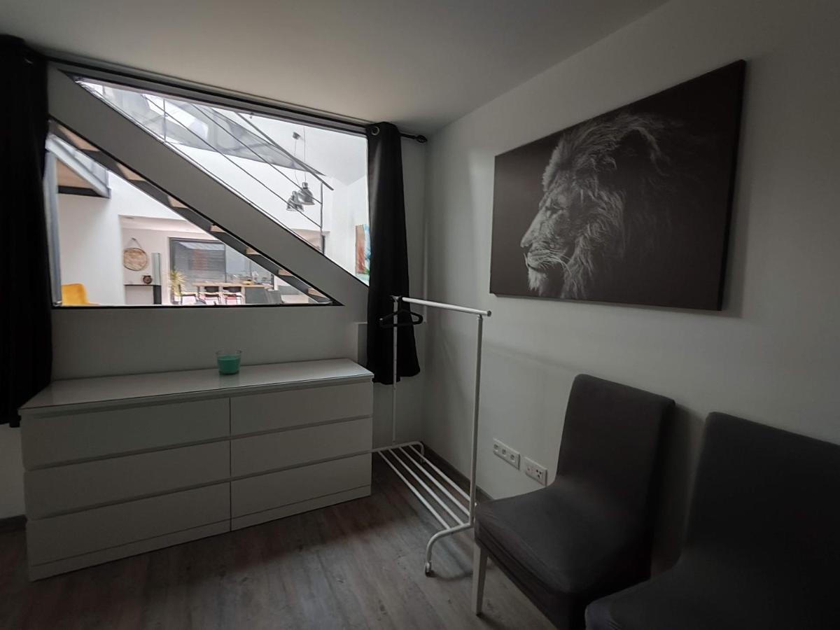 O Loft - 3 Chambres Avec 3 Salles De Bains - Parking - Climatisation Albi Exteriér fotografie