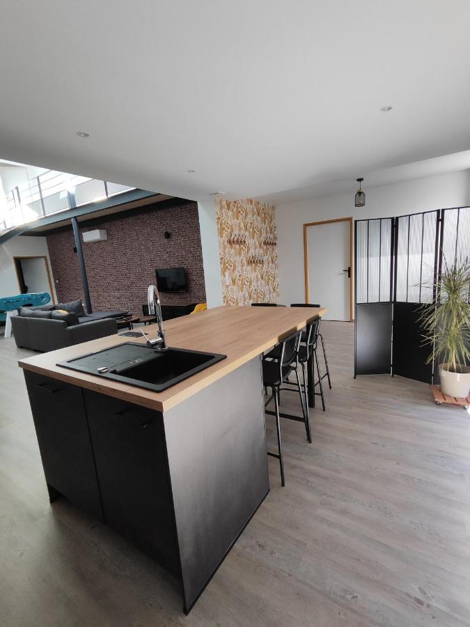 O Loft - 3 Chambres Avec 3 Salles De Bains - Parking - Climatisation Albi Exteriér fotografie